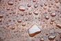 Wood Finish_Water.jpg