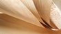 Veneer-1920x1080.jpg