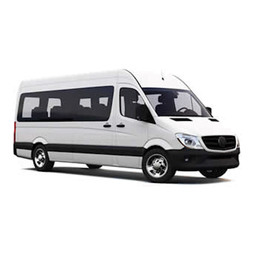 Prywatny Standardowy Minibus logo