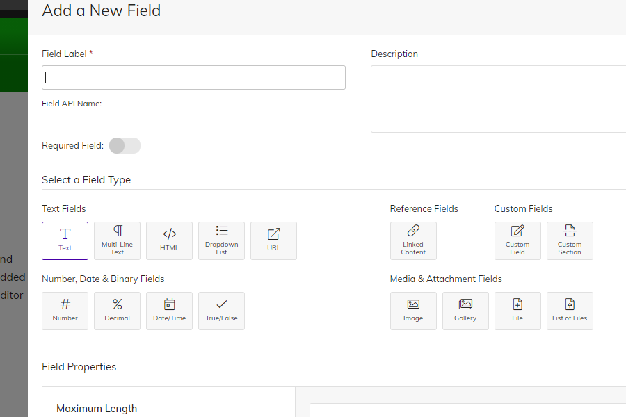 Entering name and type for Agility CMS content models&nbsp;