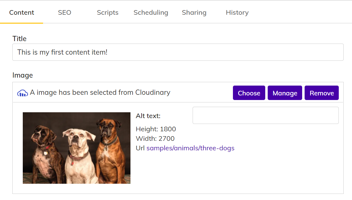 Example of a content item in Agility CMS