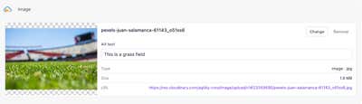 The Cloudinary Image field with an asset attached