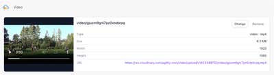 The Cloudinary Video field with an asset attached