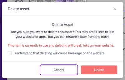 The Delete Asset prompt for an asset that is in use. A red warning says the item is currently in use and deleting will break links on your website. The Delete button stays disabled until the acknowledgement checkbox is ticked.