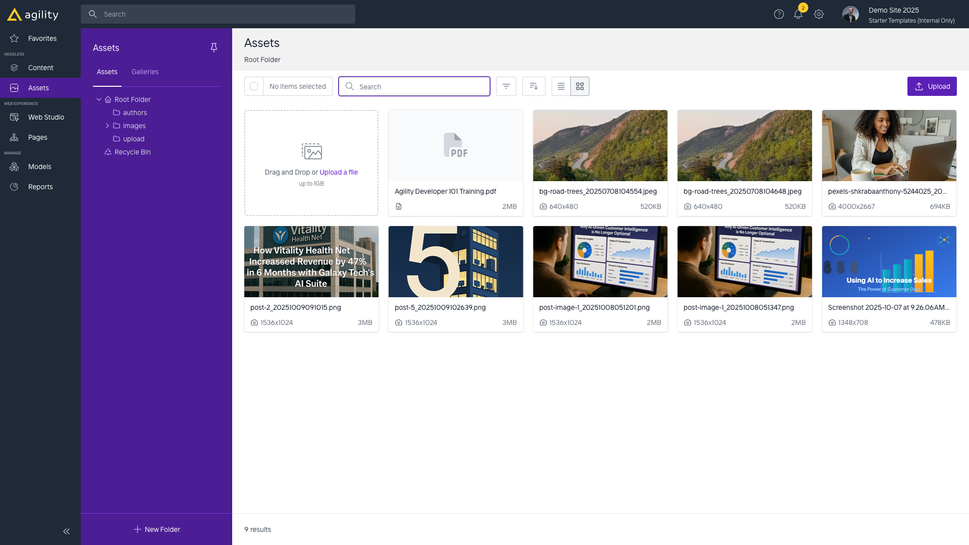 Assets Section