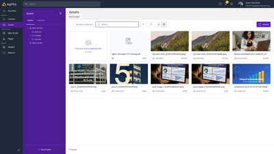 Assets Section