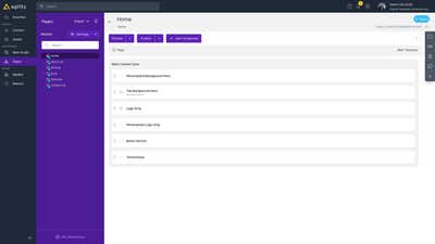 Page Edit View