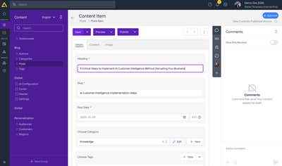 Content Item Edit View