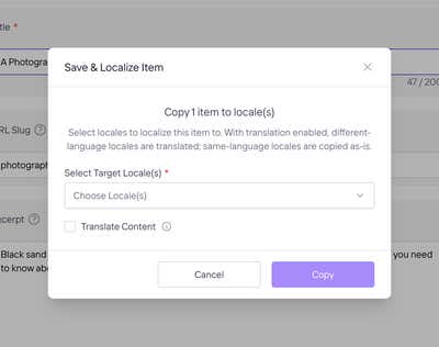 The Save & Localize Item dialog
