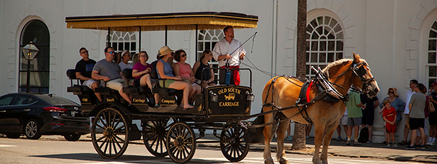 see-charleston-by-horse-and-carriage