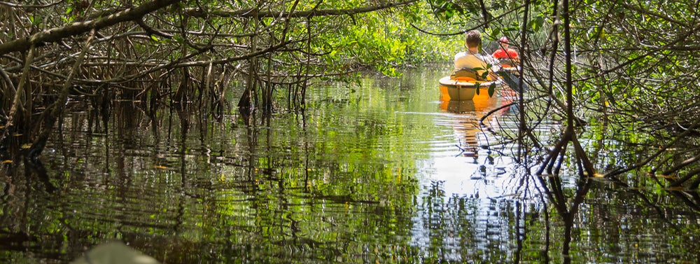 People on a boat inside the everglades