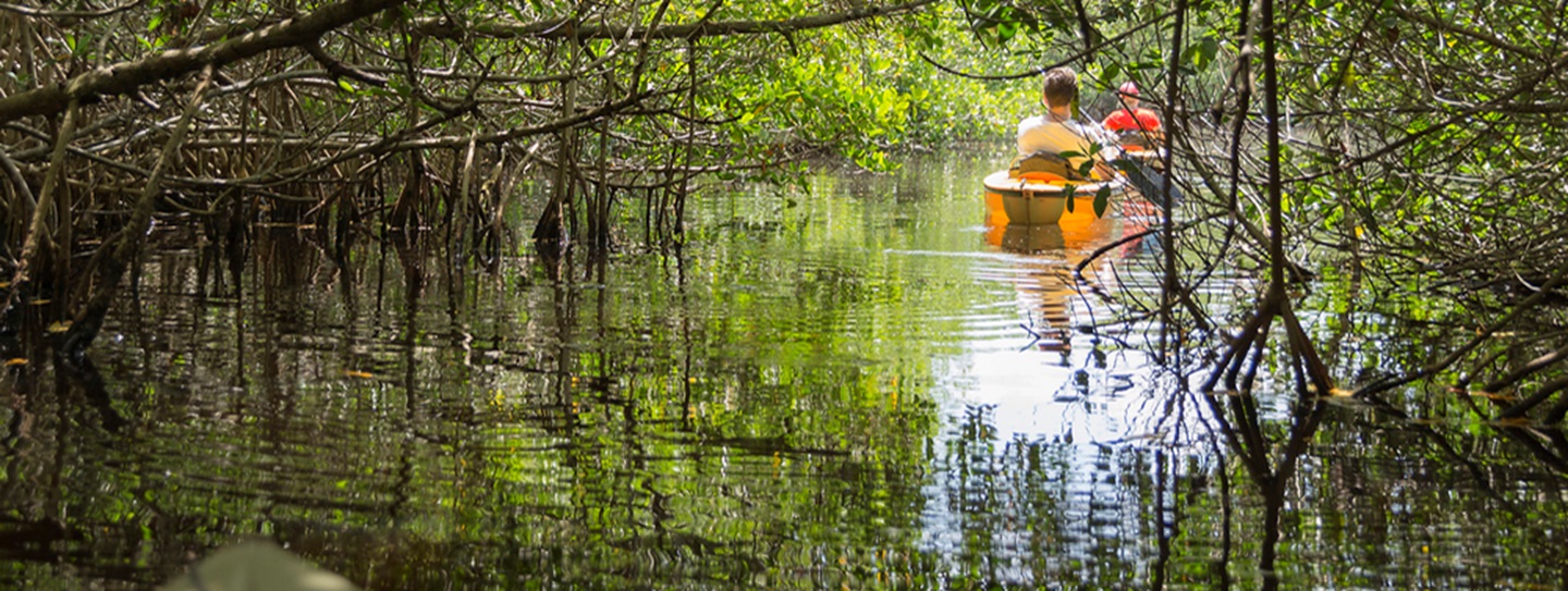 a-guide-to-visiting-everglades-national-park
