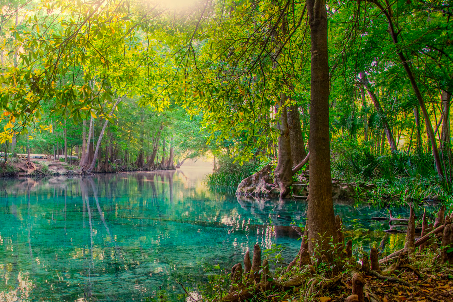 a-guide-to-visiting-everglades-national-park