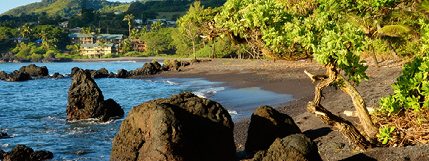 maui-serving-up-some-of-the-best-cuisine-in-hawaii