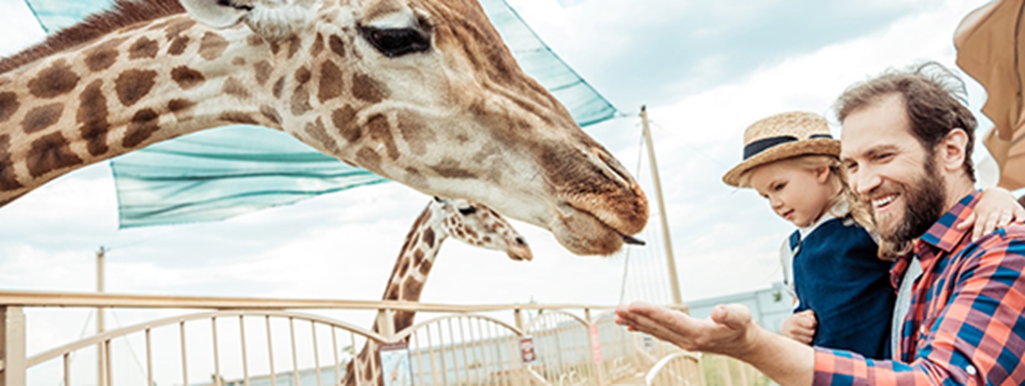 meet-the-amazing-animals-at-the-nashville-zoo