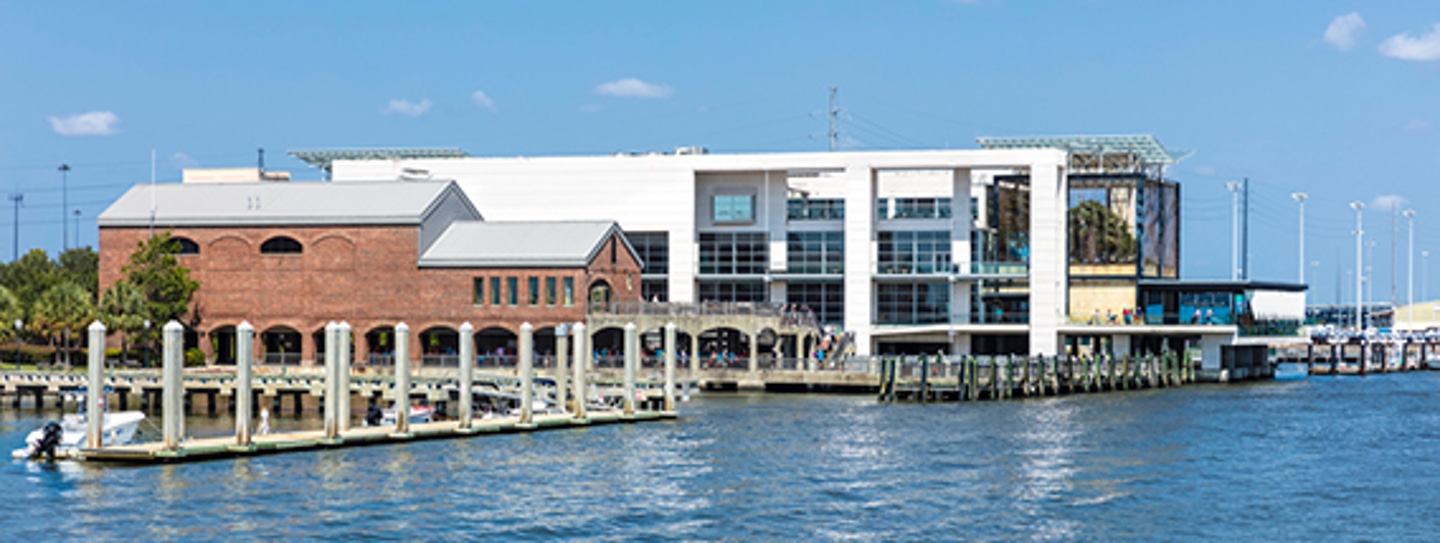 south-carolina-aquarium-one-of-the-top-must-sees-when-visiting-charleston