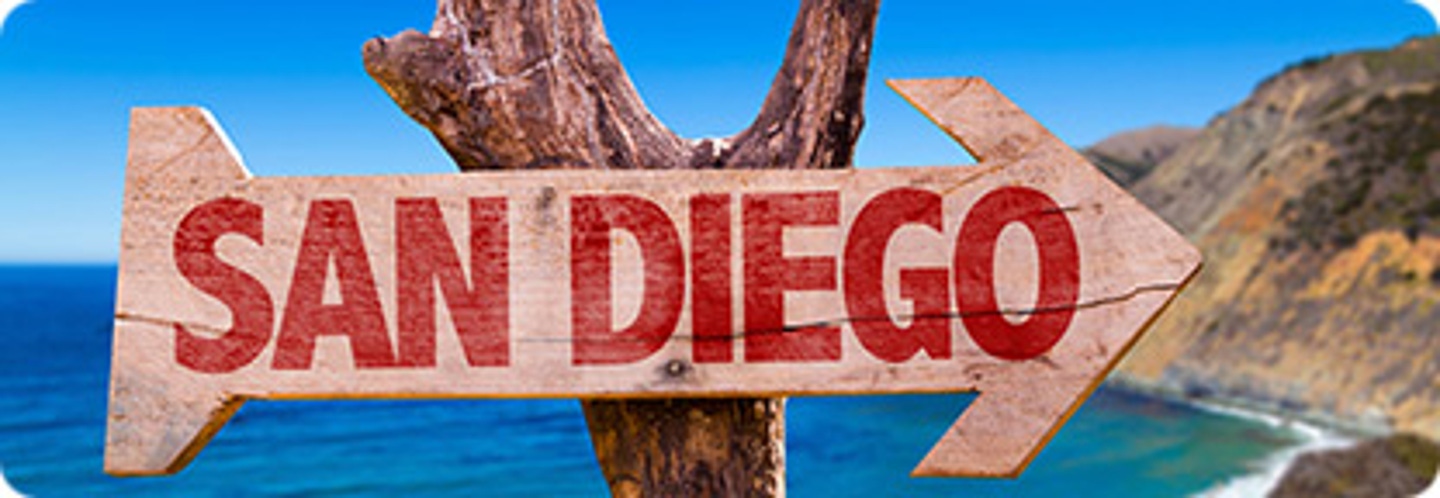take-a-ride-with-the-wildlife-in-sunny-san-diego