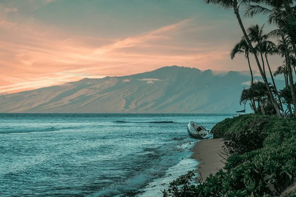 Sheraton Maui Resort in February