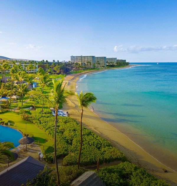 Maui Sheraton Live Conference