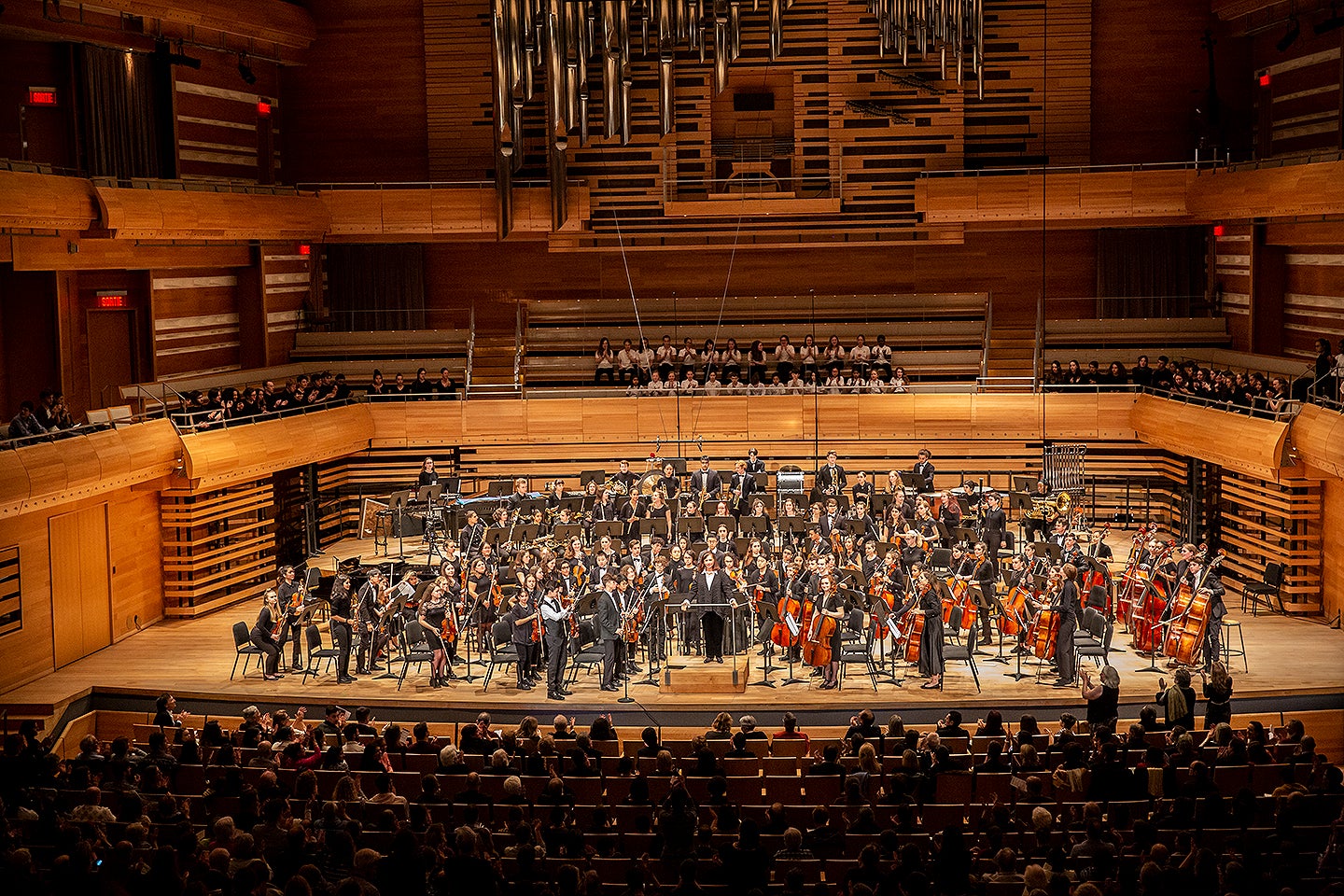 orchestra