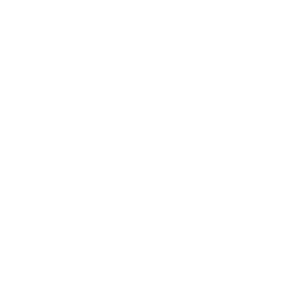 donation button