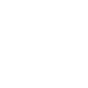 lester b pearson logo