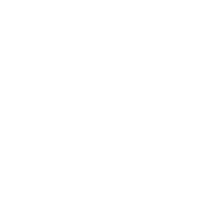 portfolio icon