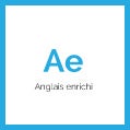 Enriched English Icon