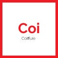 Coiffure icône