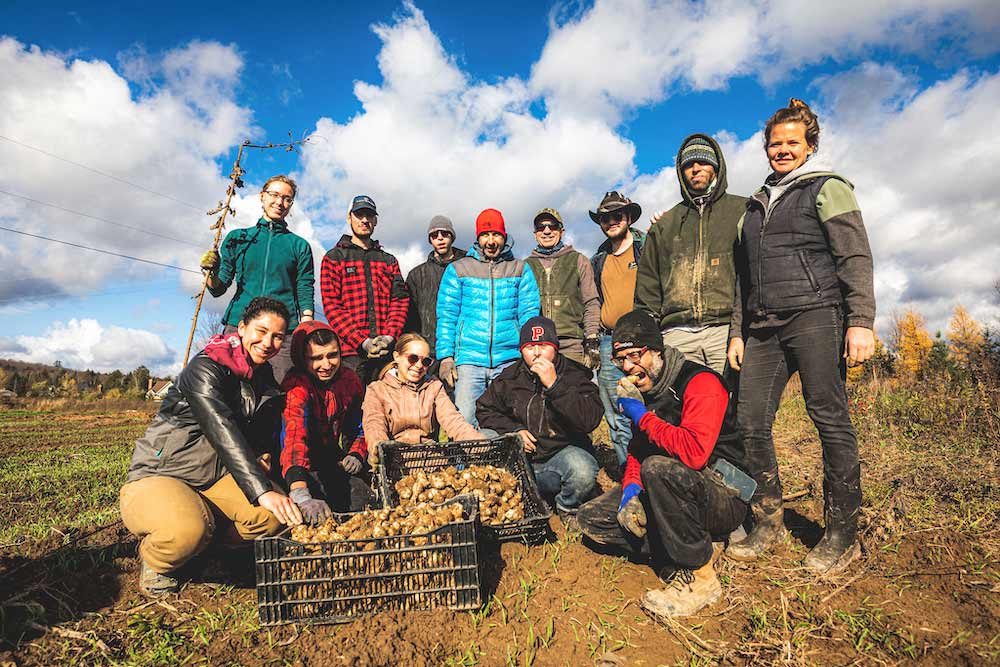 La brigade aidante à pied d’œuvre chez un horticulteur de Sutton le 28 octobre dernier. Photo : Mikael Theimer