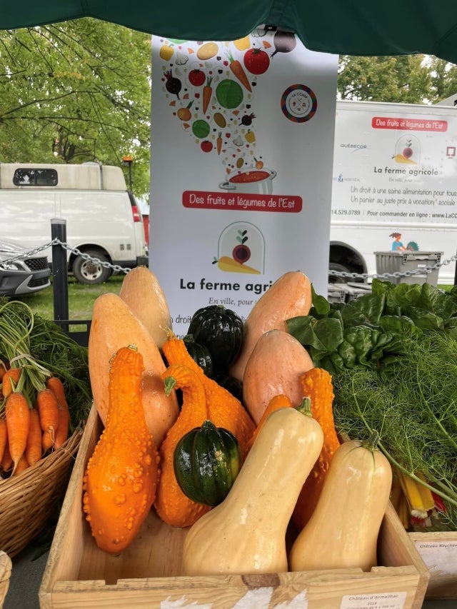 Après un début de journée sous la brume, le ciel s’éclaircit pour faire place à une superbe matinée au Marché public de Pointe-aux-Trembles, le 14 septembre.