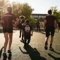 NDG lions