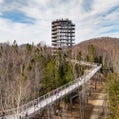  Sentier des cimes Laurentides