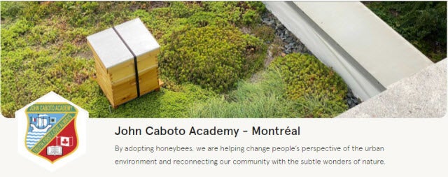 jca bee project