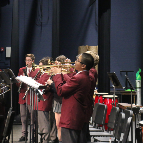 Fine Arts Program