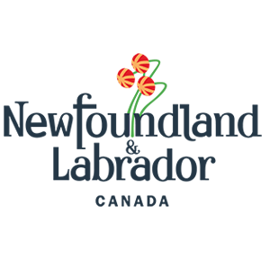 Newfoundland and Labrador on Violence Prevention School-Based Strategies