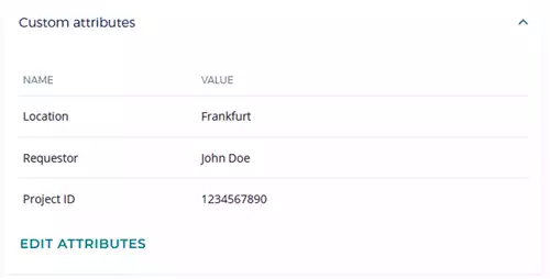 custom attributes of generated key in dsm