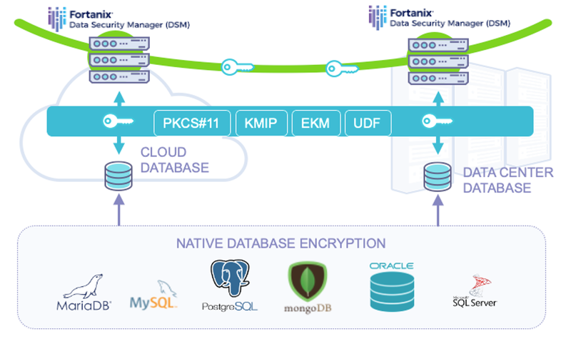 native database encryption