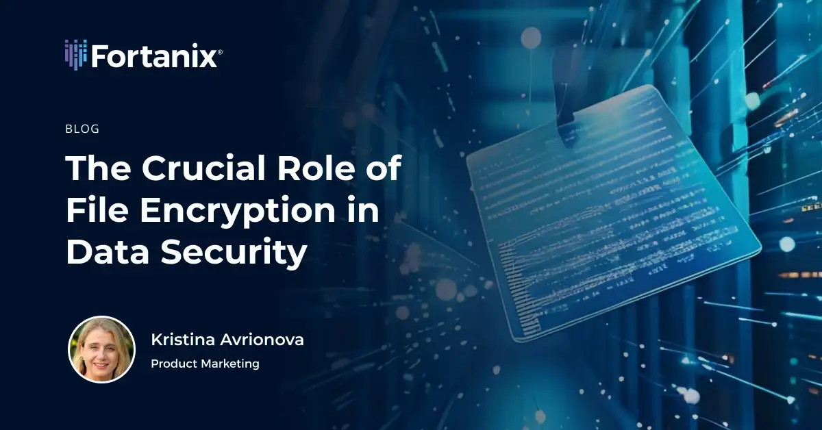 Role of File Encryption in Data Security | Fortanix