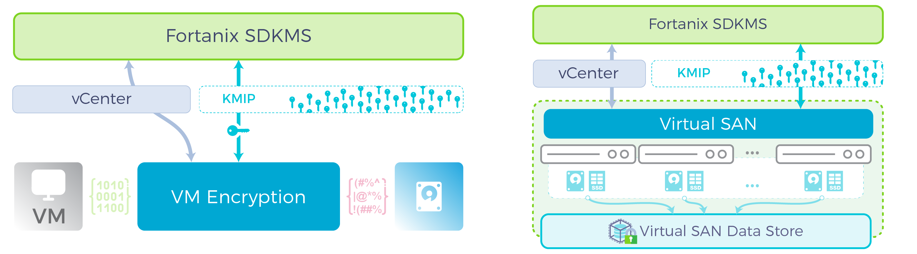 vmware integration with fortanix dsm