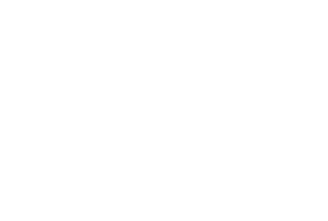 addidas Logo