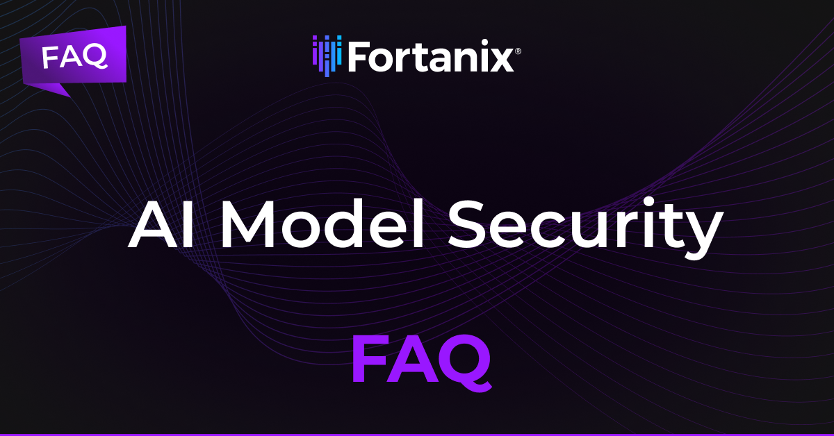 AI Model Security