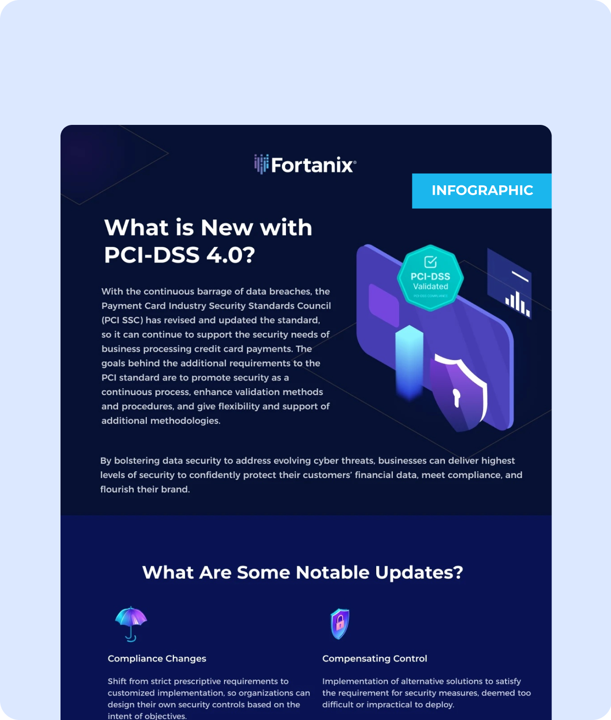 PCI DSS Infogrphics