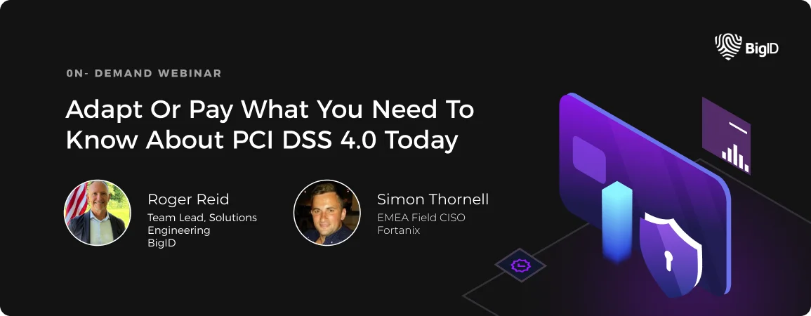 PCi DSS webinar