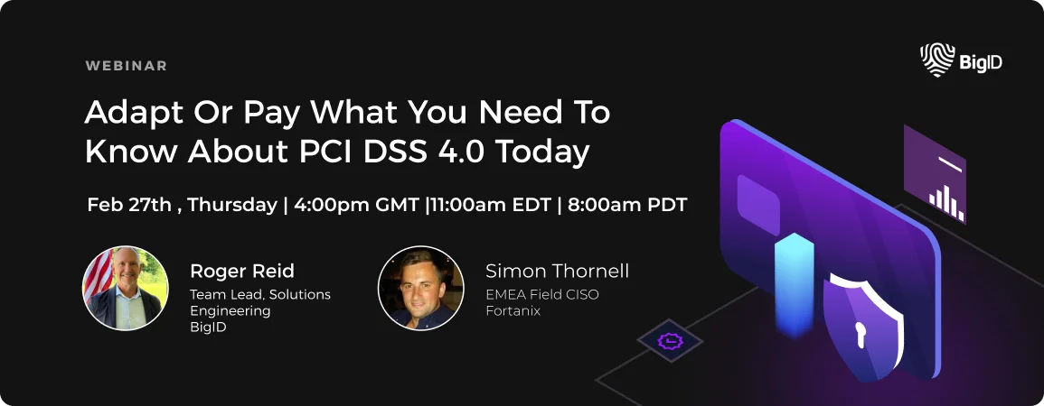 PCI DSS Webinar