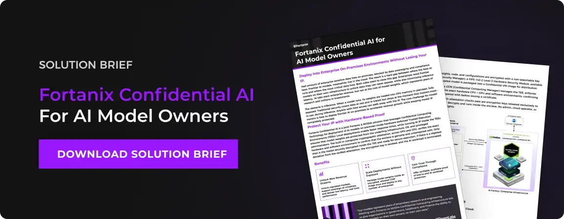 confidential ai for ai model