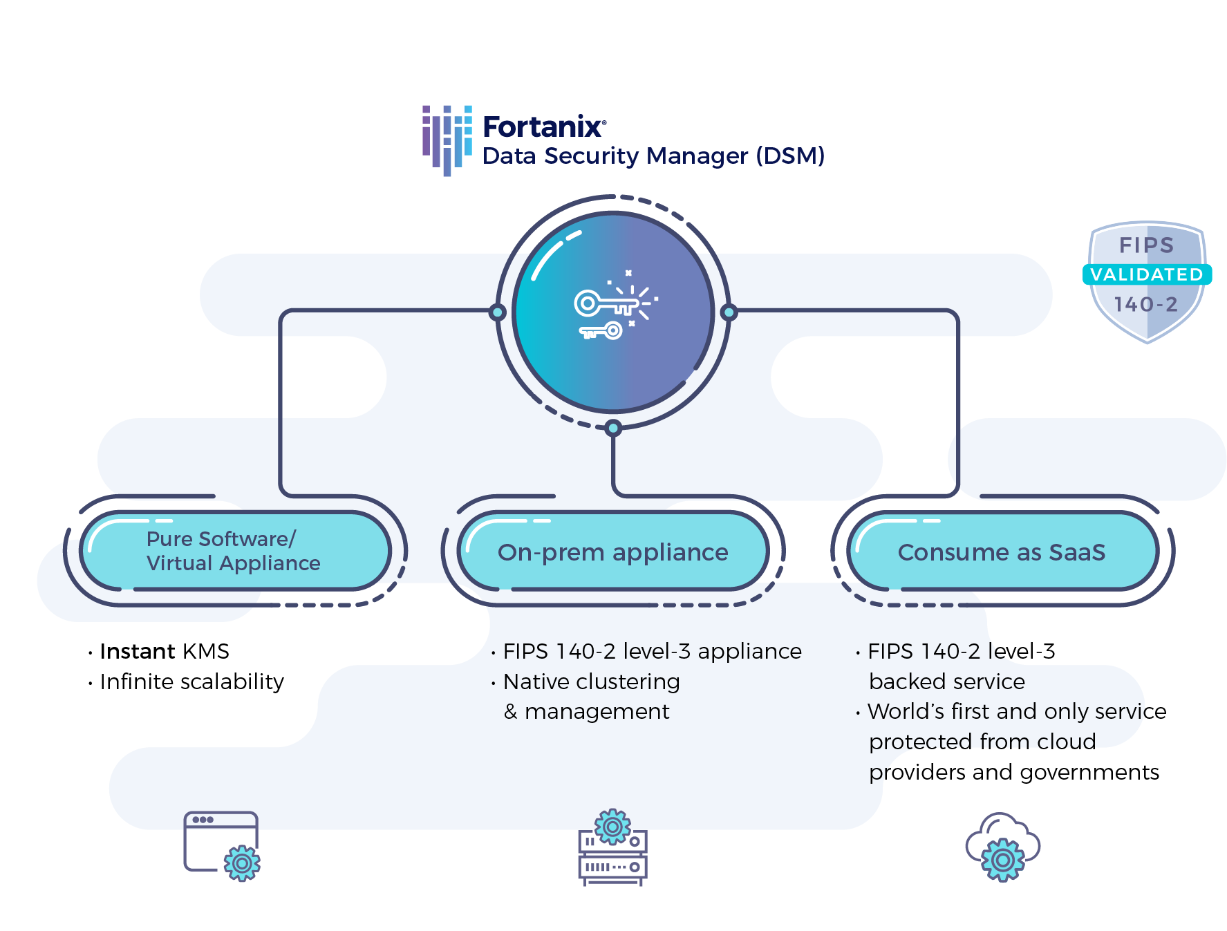 fortanix data security manager at a glance