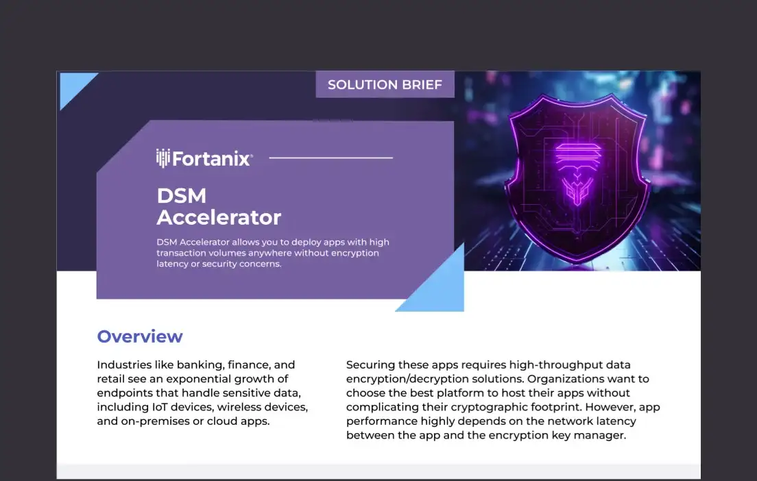 Data Security Manager Accelerator