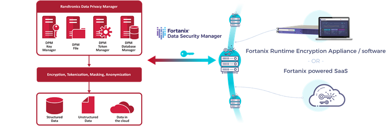 Fortanix and Randtronics DPM solution benefits