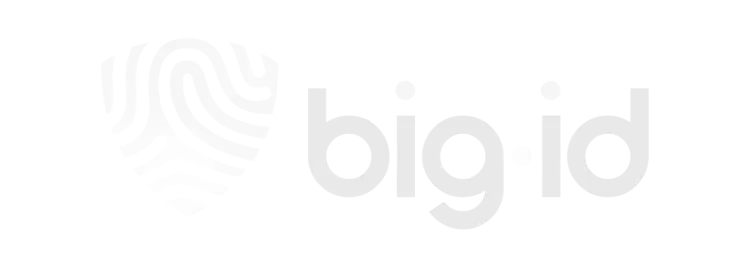 BigId Logo